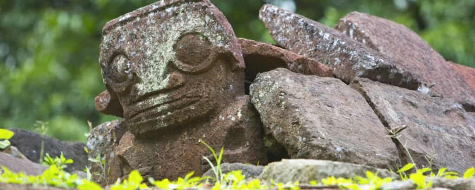 P2 12 HIVA OA 00216-2880x1920 Le Tiki