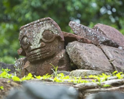 P2 12 HIVA OA 00216-2880x1920