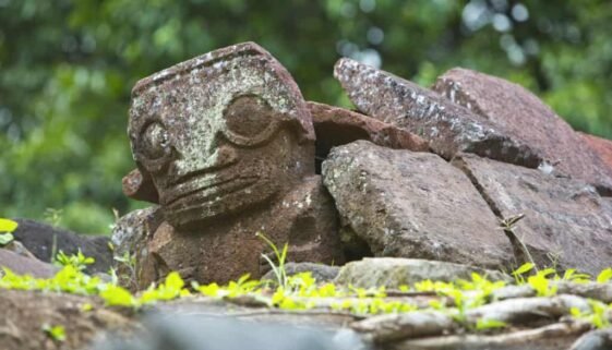 P2 12 HIVA OA 00216-2880x1920