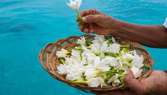 P2_10_2020-02-07-018 © Holger Leue-4184x2792