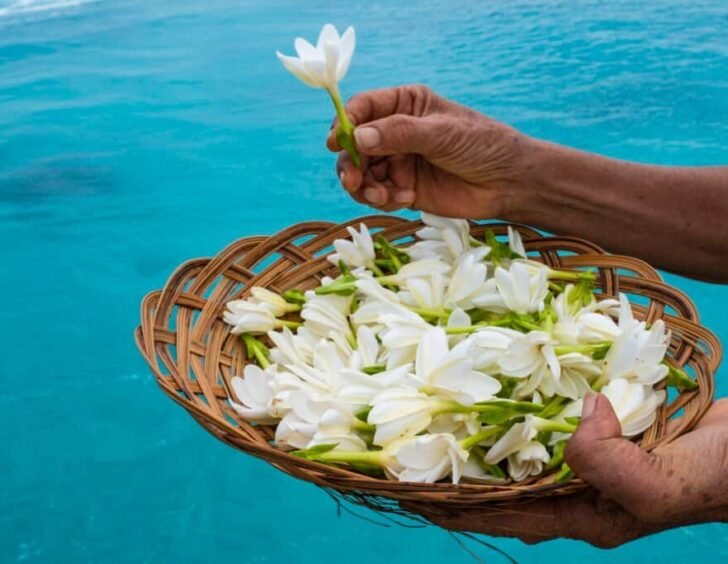 P2_10_2020-02-07-018 © Holger Leue-4184x2792