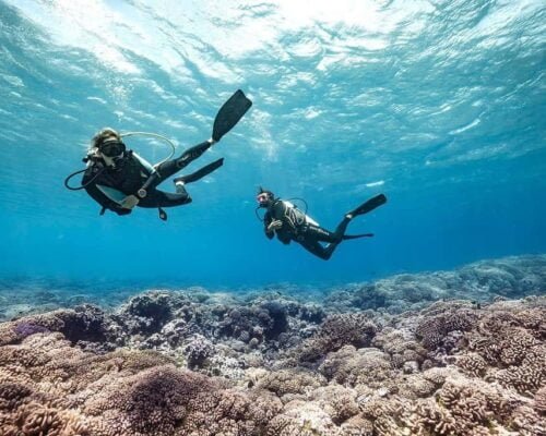 P2_FAKARAVA_© Alexandre Voyer Fakarava-20_© Alexandre Voyer-2625x1750