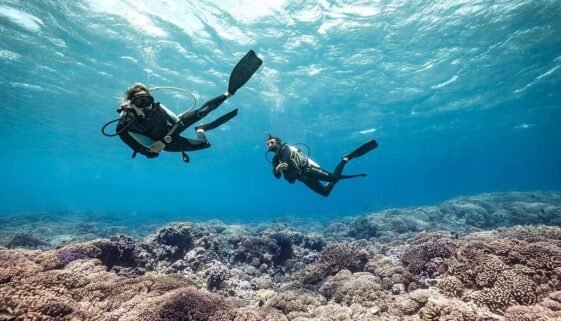 P2_FAKARAVA_© Alexandre Voyer Fakarava-20_© Alexandre Voyer-2625x1750