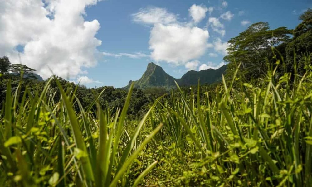 Dangers you may encounter in Tahiti