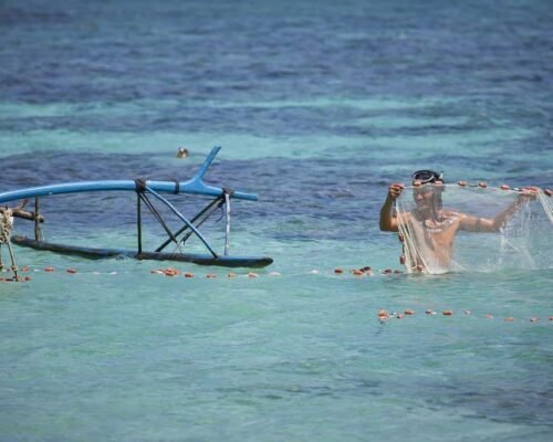 French Polynesian Lifestyle - Secondary