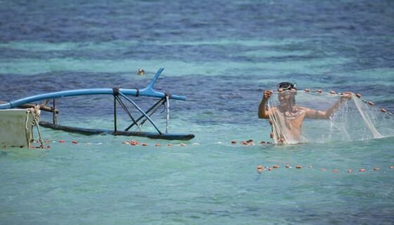 French Polynesian Lifestyle - Secondary