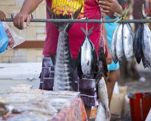 Local Produce & Markets