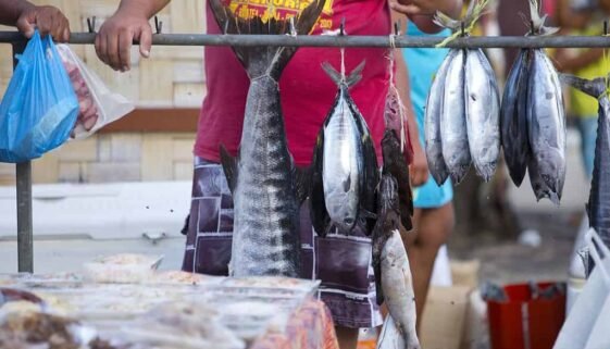 Local Produce & Markets