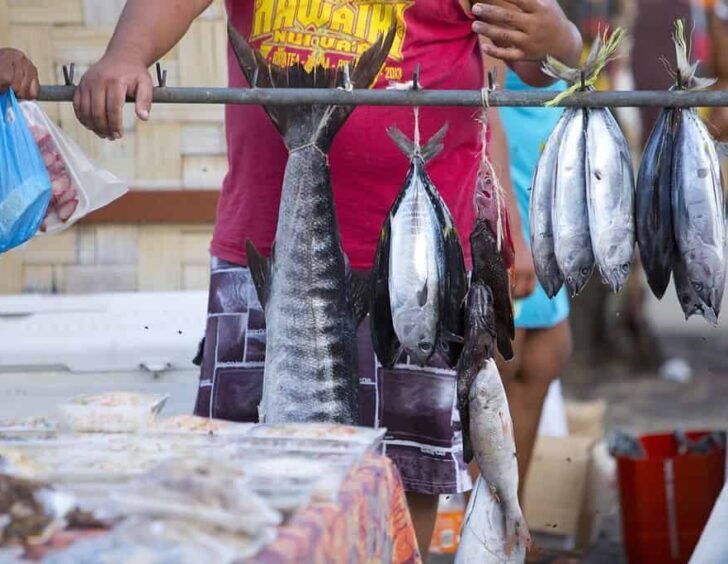 Local Produce & Markets