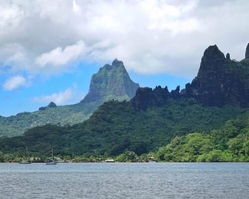 P2_08_MOOREA_DSC09077 © Lei Tao-4442x2961