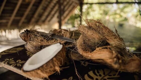 intercontinental bora bora resorts et thalasso