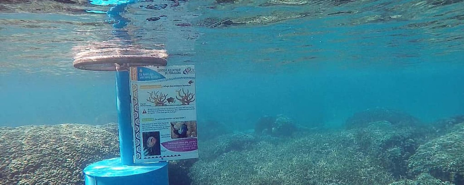 Sentier-Vaiava-2 Marre des écriteaux dans les parcs ? Essaye sous l’eau à Puna’auia!