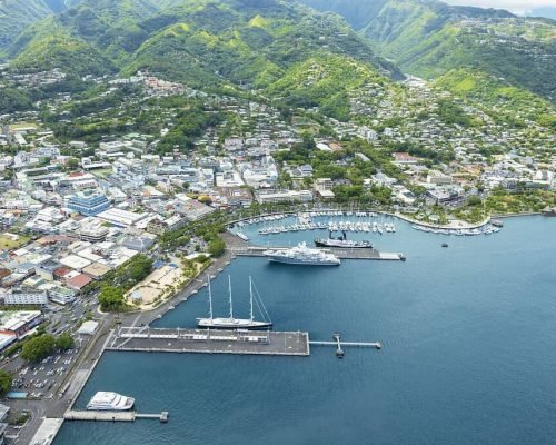 ©-Gregoire-Le-Bacon-_-LionAiles