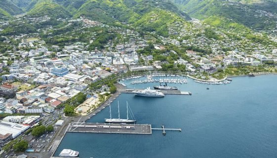 ©-Gregoire-Le-Bacon-_-LionAiles