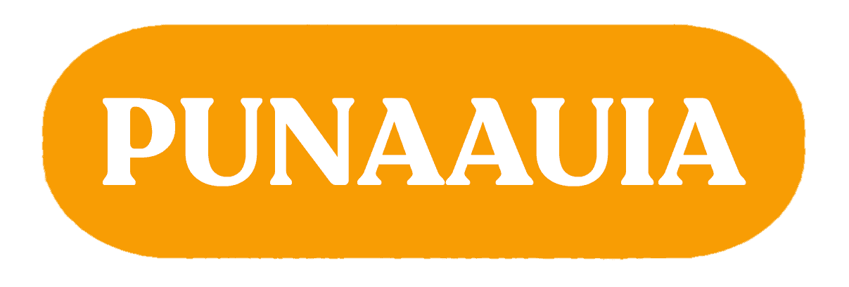 Plan de travail 1