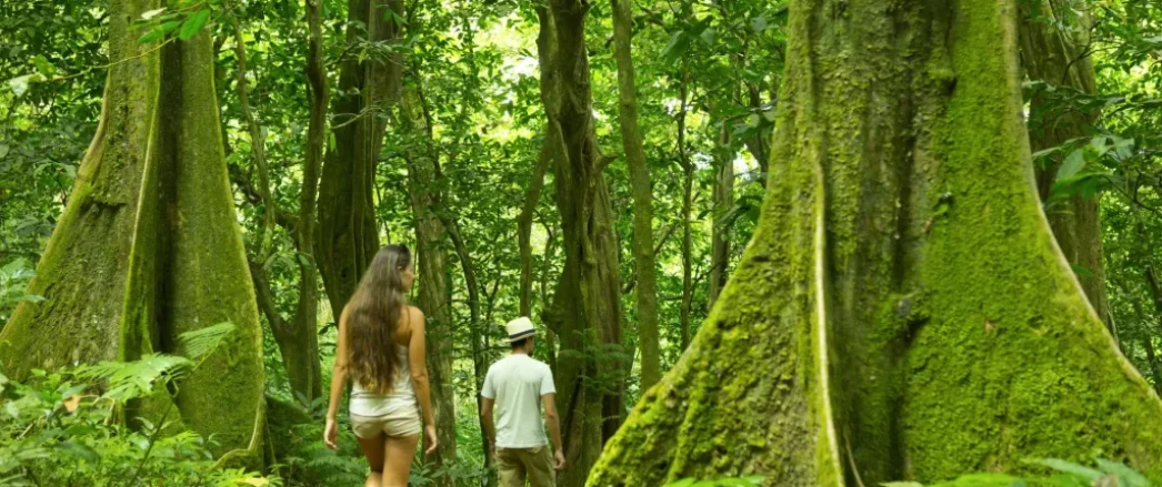 Le guide ultime de la randonnée à Tahiti et Moorea