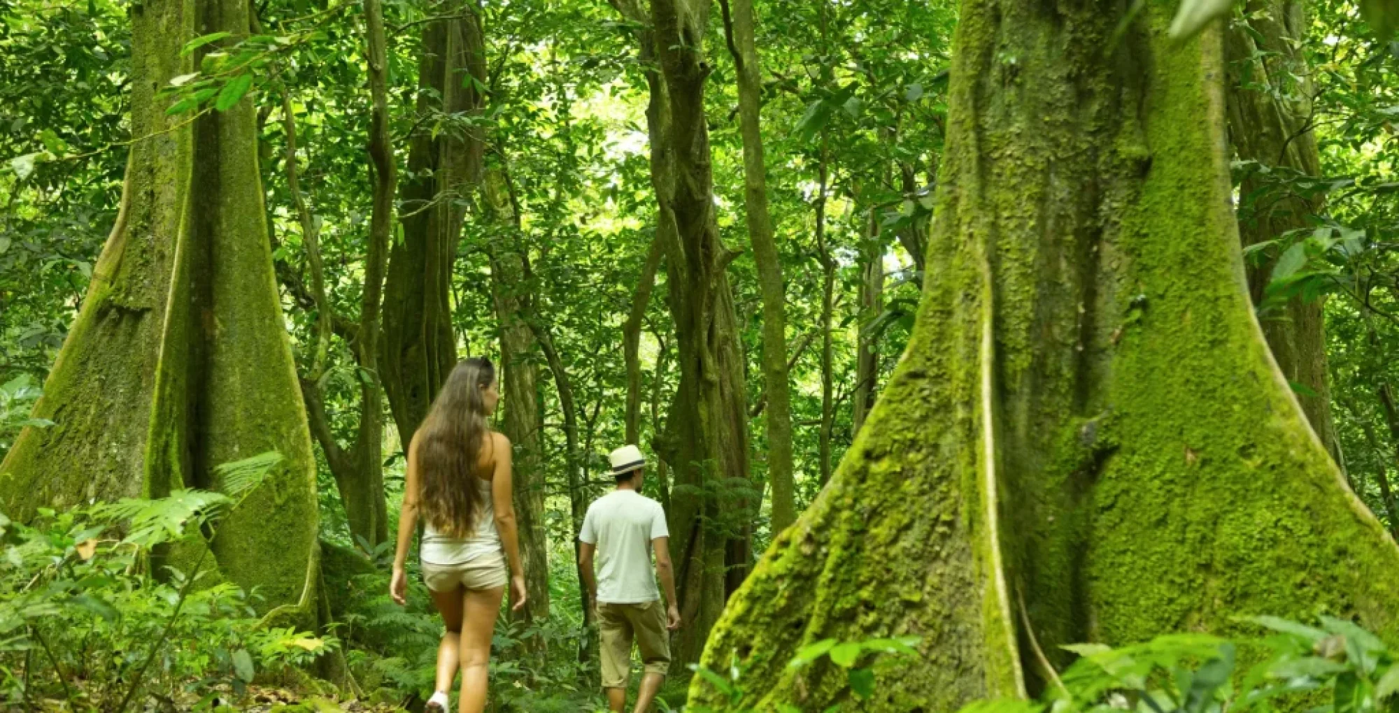 Tahiti tourisme Toutes les randonnées de Tahiti et ses îles