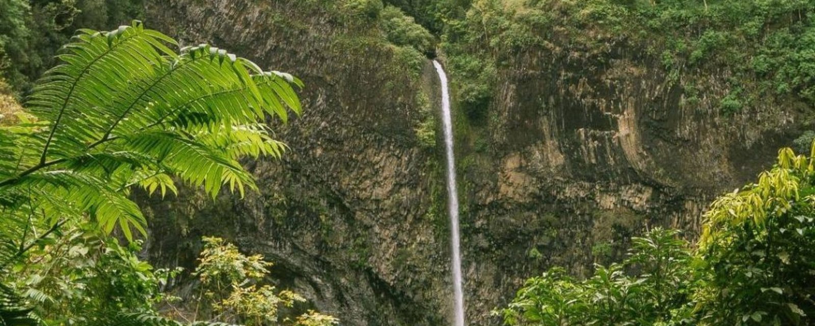 Merveilles Naturelles : Les Cascades Incontournables de Tahiti