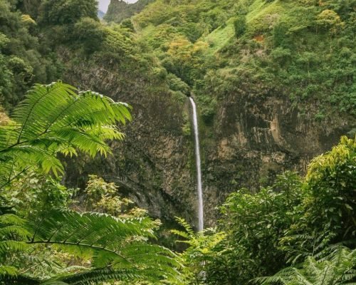Merveilles Naturelles : Les Cascades Incontournables de Tahiti