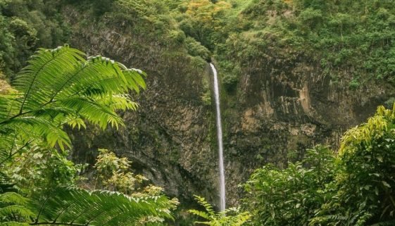 Merveilles Naturelles : Les Cascades Incontournables de Tahiti