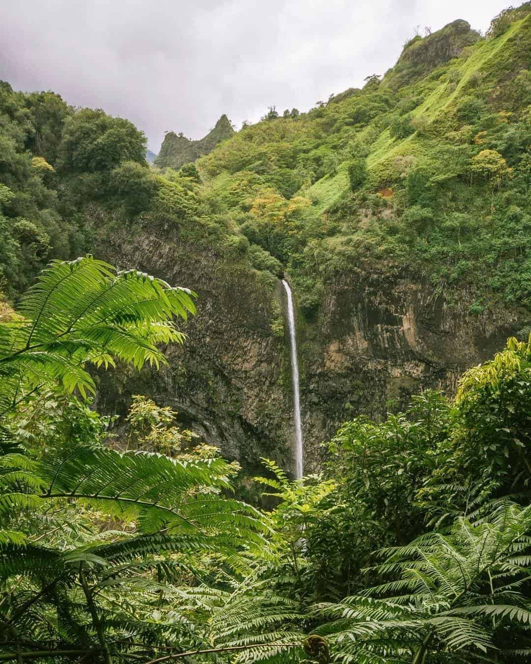 Tahit tourisme cascade