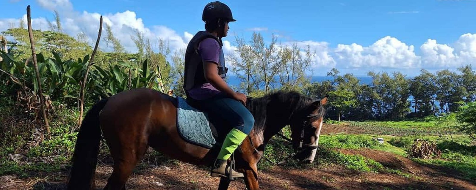 20250108_083828 À cheval au cœur de Taravao : une immersion magique en pleine nature