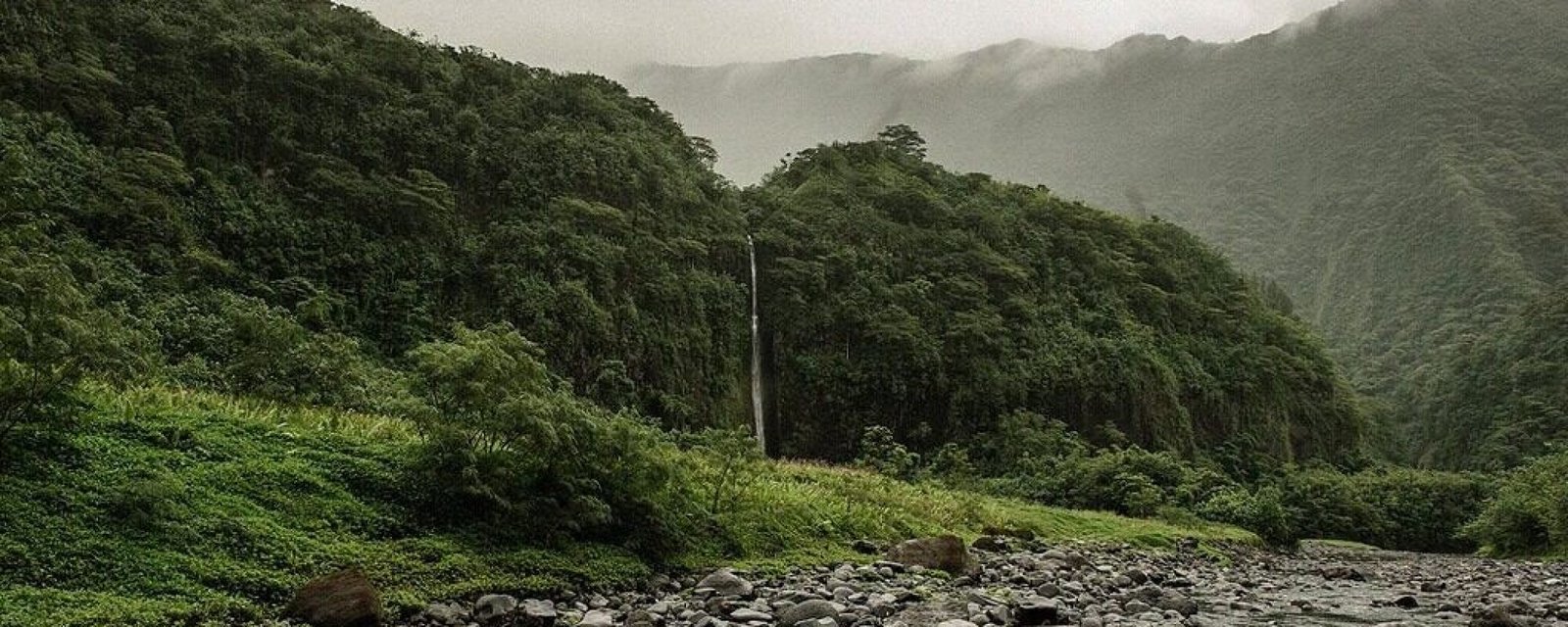 papenoo, vallée papenoo maroto Puhi tari’a, l’anguille des vallées