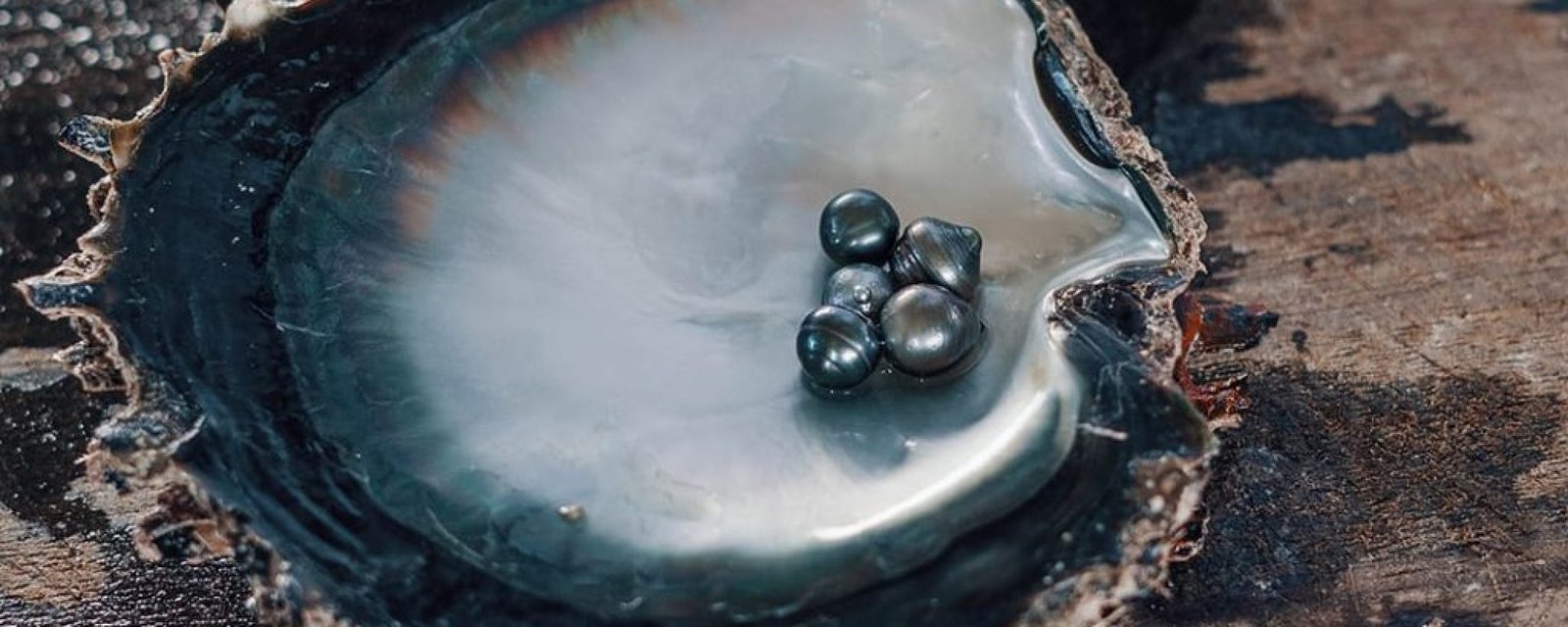 couvv Et si tu pêchais ta propre perle dans les lagons de Polynésie ?