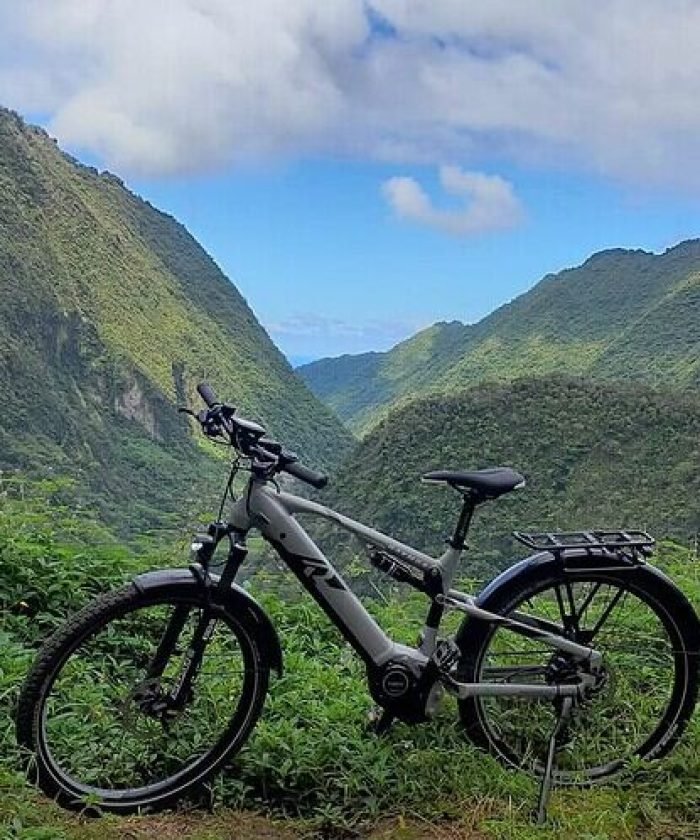 Explore la vallée de Papenoo en VTT électrique : Une aventure inoubliable au cœur de Tahiti !