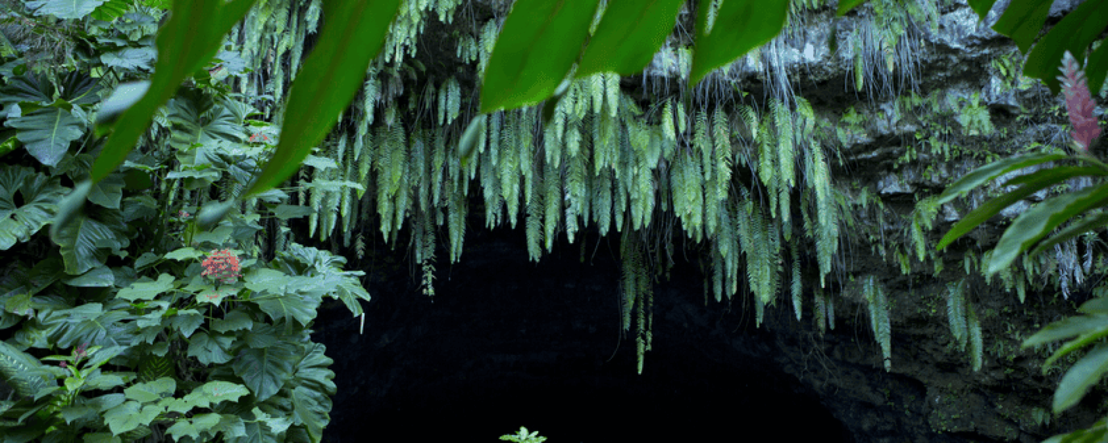 © Tahiti Tourisme Les grottes de Mara’a
