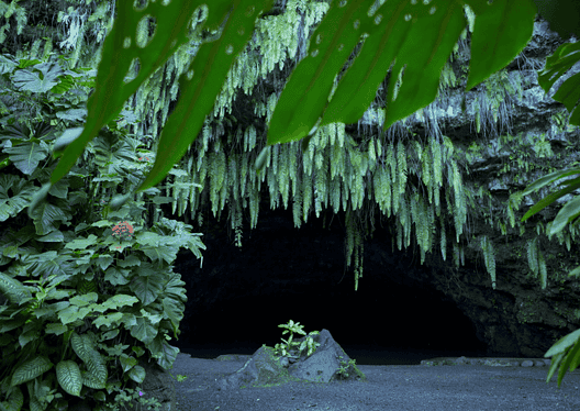 © Tahiti Tourisme © Tahiti Tourisme