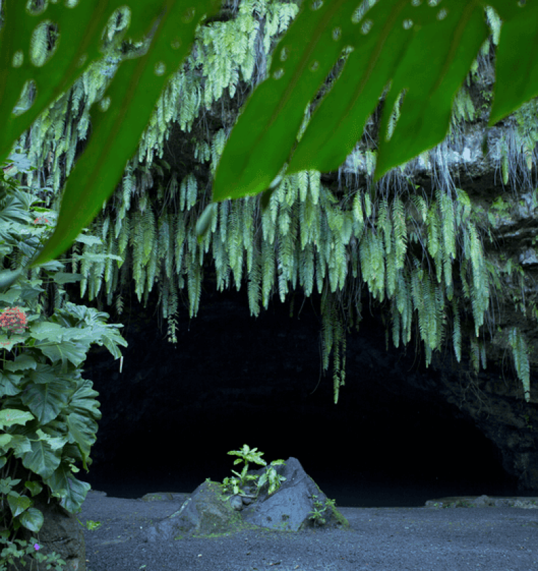© Tahiti Tourisme © Tahiti Tourisme
