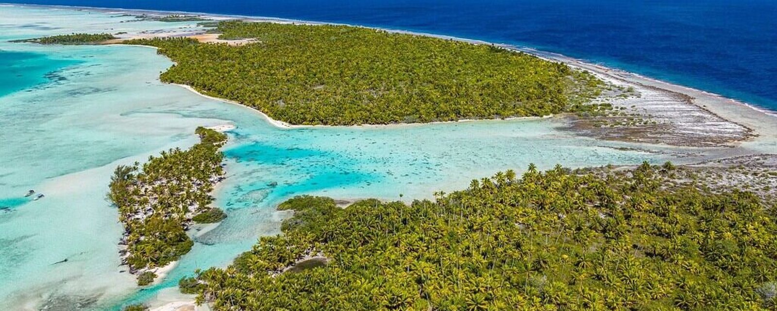 fakarava, vue lagon, lagoon view Explore les Tuamotu : Dauphins, Requins, Escalade et Séjour de Luxe au Programme