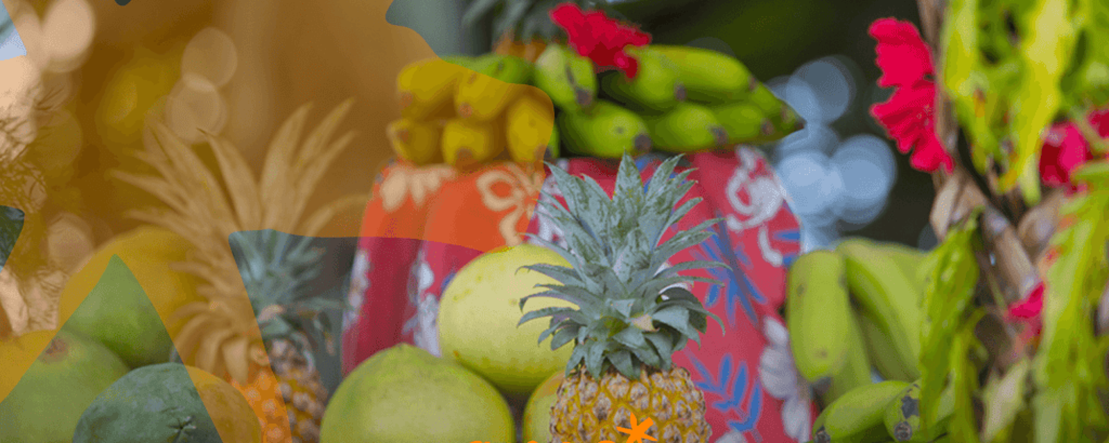 © Teriitua Maoni - Tahiti Tourisme Matari’i i raro : Quand la terre entre en repos