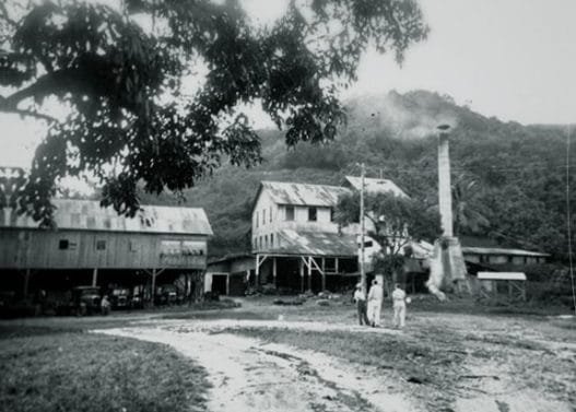 Photo : Bambridge Photo : Bambridge