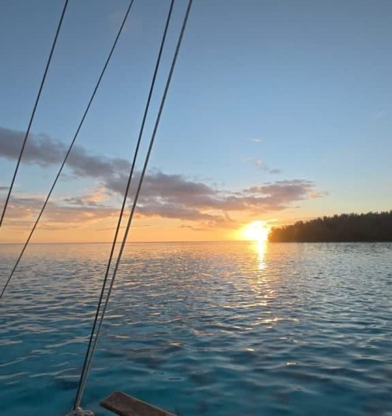 image1 image1