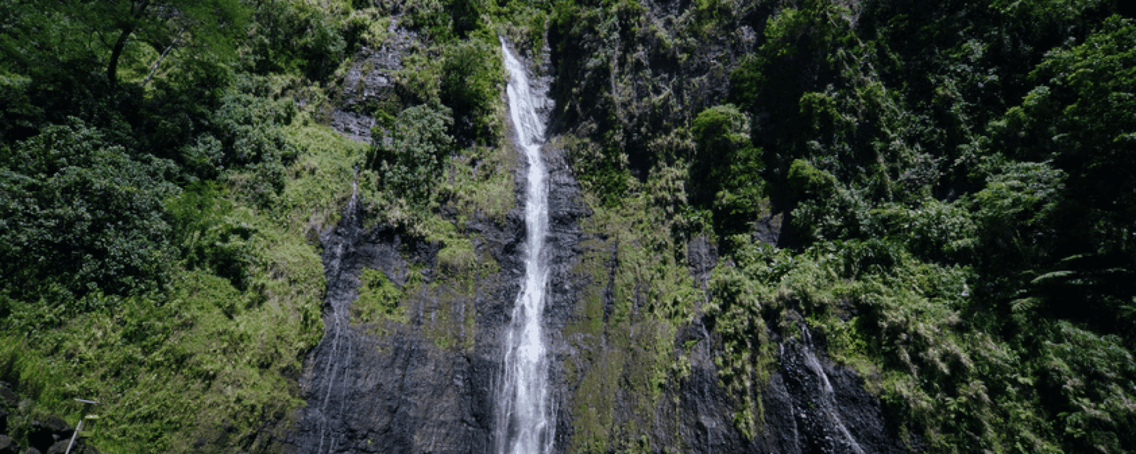 Tahiti Tourisme © Kristiyan Markov Cascades de Faarūmai à Tahiti : Votre guide complet