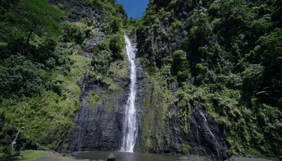 Tahiti Tourisme © Kristiyan Markov