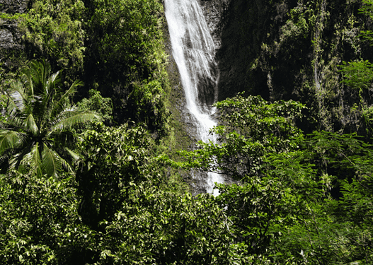 P2_TAHITI_Tahiti - cascades Faarumai portrait 2 - Tahiti Tourisme Â© Kristiyan Markov