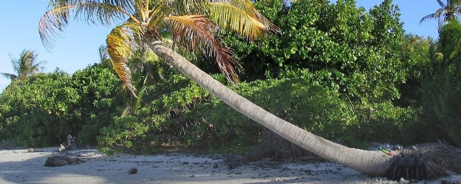 juillet-aout-2025 À faire à Tahiti en juillet et août 2025