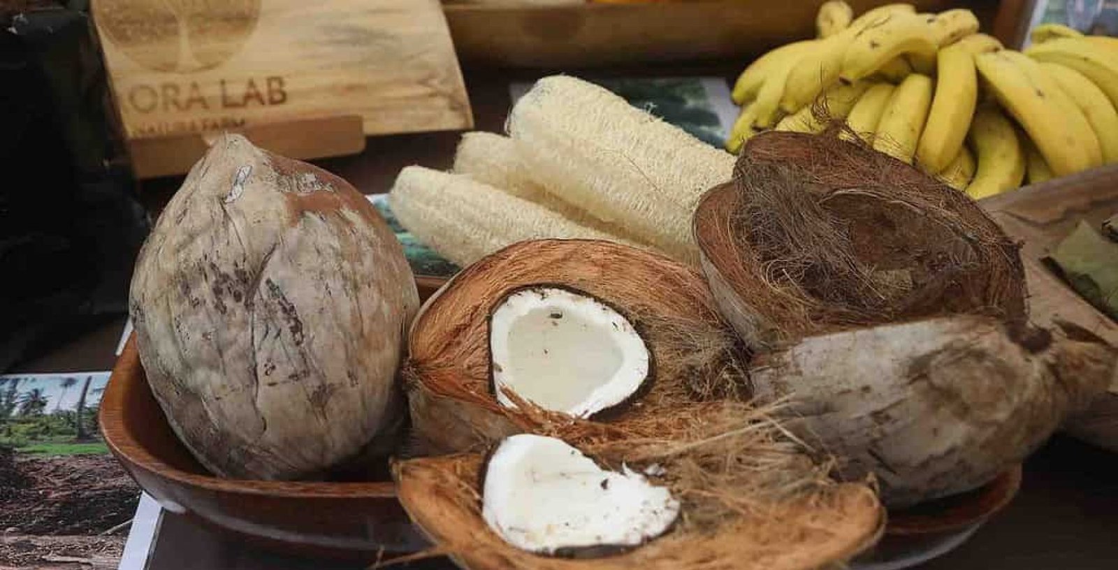 © Peter Rongomate Journée mondiale du cocotier à Raʻiātea