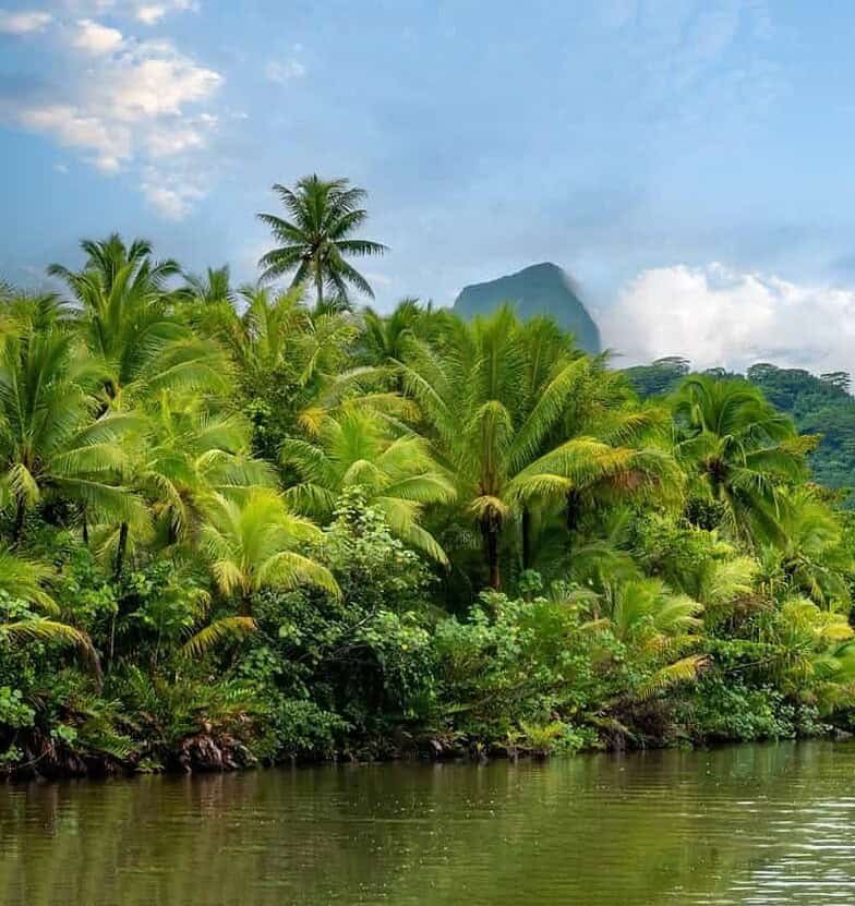 Kayaking,The,Fa'aroa,River,Estuary,,Raiatea,,French,Polynesia,,South,Pacific