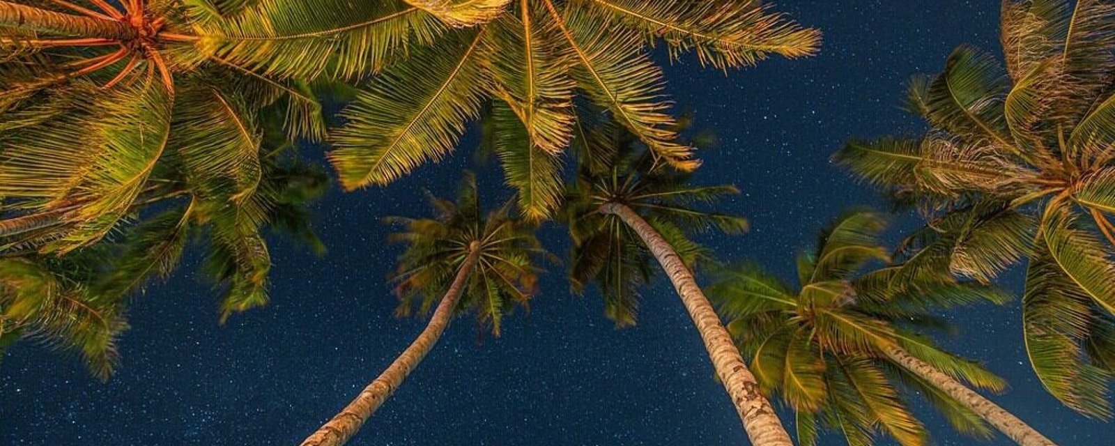 Matari‘i i ni‘a : le retour de l’abondance au fenua