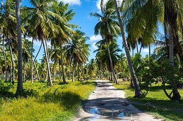 Explorer l’atoll en vélo ou en pirogue