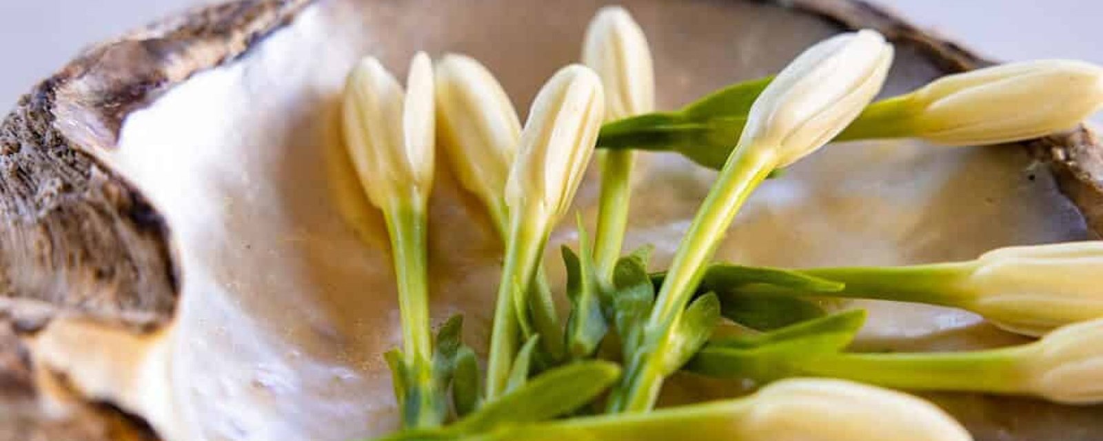 Tiare Tahiti : la fleur qui accueille chaque voyageur