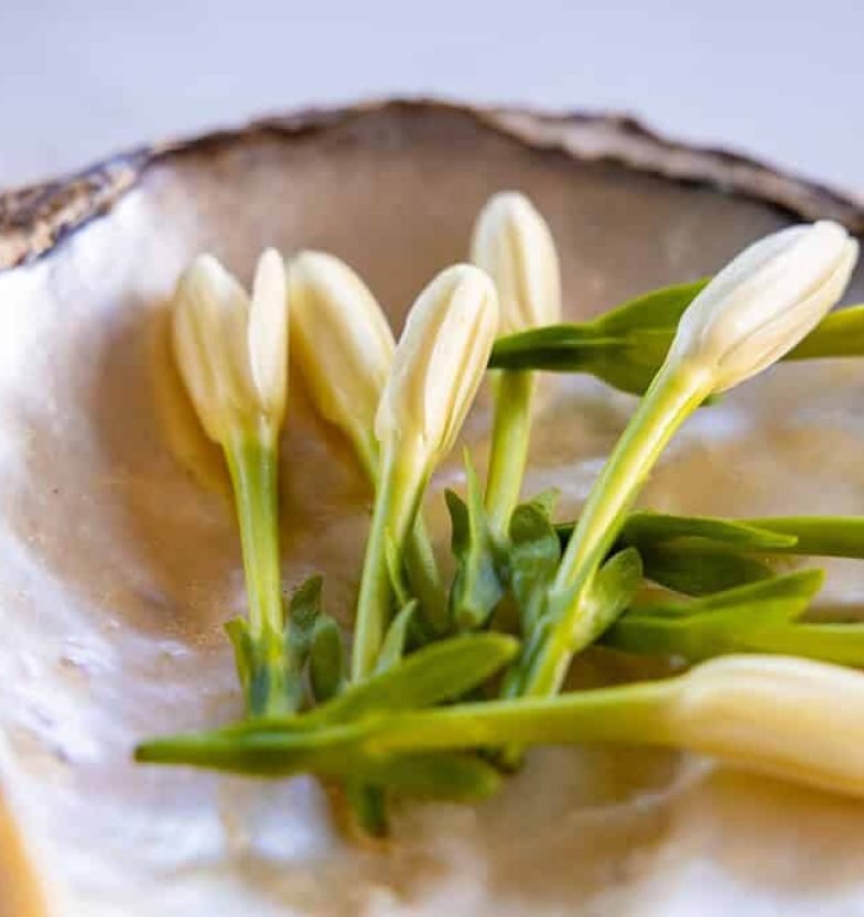 Tiare Tahiti : la fleur qui accueille chaque voyageur