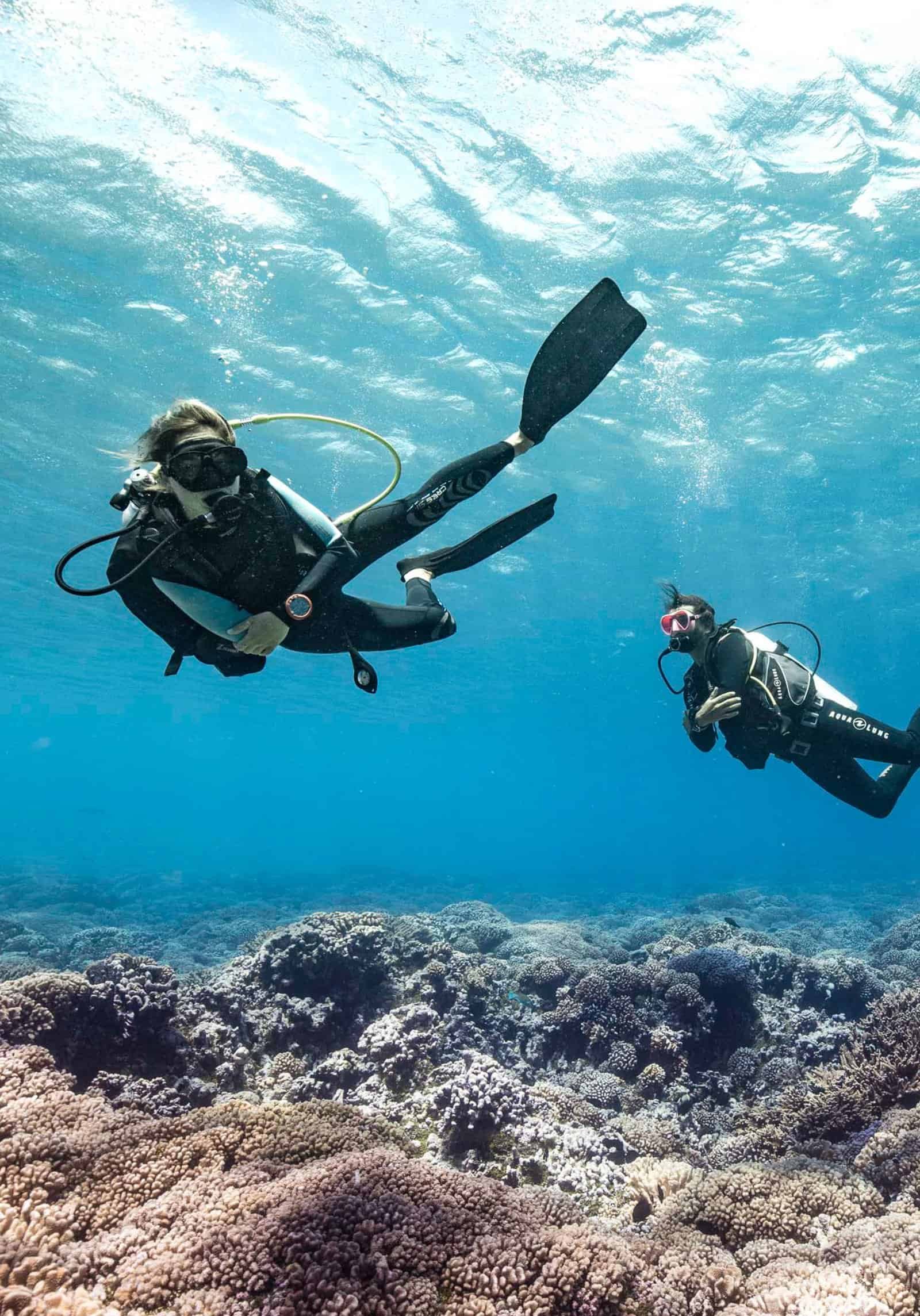 The must-see diving spots in French Polynesia - ANOE Guide, ton ...