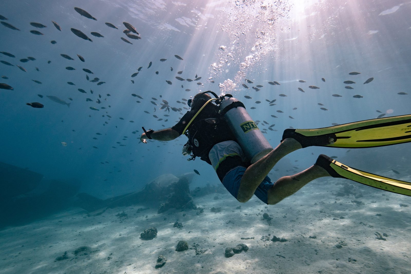 The must-see diving spots in French Polynesia - ANOE Guide, ton ...
