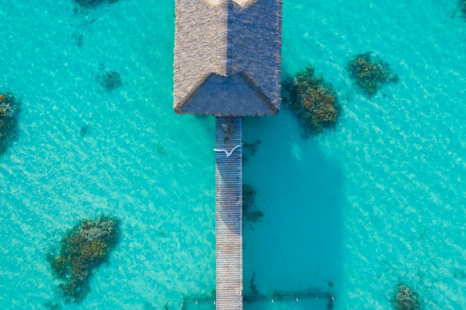 ©Jim Winter / ©Tahiti Tourisme